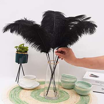 Ballinger Black Ostrich Feathers Kit for Decorations and Crafts