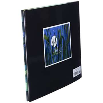 Tuesday - Award Winning Picture Book for Kids