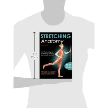 Stretching Anatomy Guide for Effective Flexibility Training