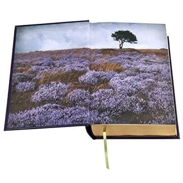 Brilliant Leather-bound Bronte Sisters Works Collection