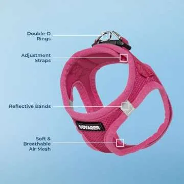 Voyager Step-In Air Dog Harness - All Weather Mesh, Reflective, No Pull Harness for Small, Medium Dogs, Cats - Secure with Hook & Loop Fastener, Buckle, Double D-Rings - Fuchsia, XXXS
