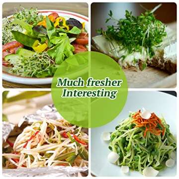 Sprouting Jar Kit 2Pcs Large Wide Mouth Mason Jars With Screen Sprout Lid,Sprouting Jar Stand,Tray,Blackout Sleeves,-Seed Sprouting Kit For Growing Mung beans,Broccoli And So On