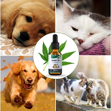Owe Uself 3000mg Hemp Oil for Dogs – Anxiety & Stress Relief