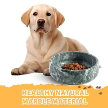 Elegant Karibiber Natural Marble Dog Bowl for Pets