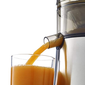 Omega C2100S Juicer with Large Chute for Whole Fruits