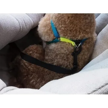 Stylish Pet Tote and Car Seat for Safe Pet Travel