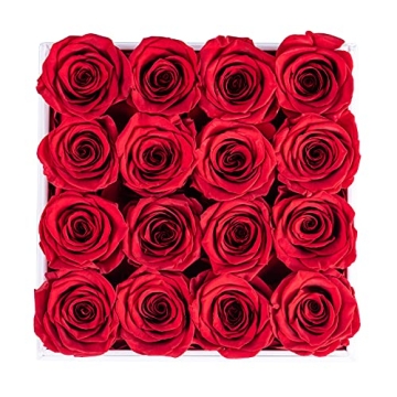 Sunia Preserved Roses - Eternal Romantic Gift for All Occasions