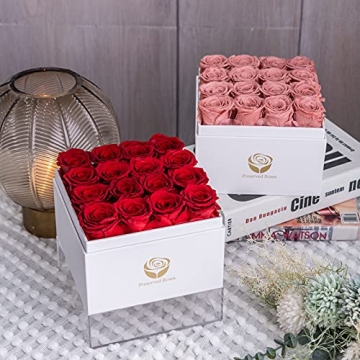 Sunia Preserved Roses - Eternal Romantic Gift for All Occasions