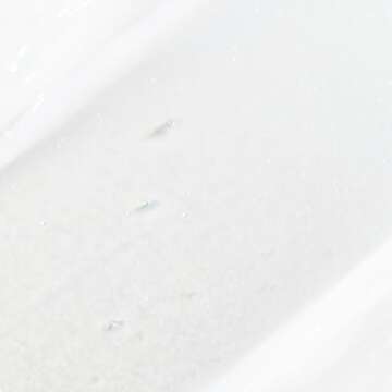 Paul Mitchell Full-Circle Leave-In Treatment, Hydrates Curls, Eliminates Frizz, For Curly Hair, 6.8 fl. oz.