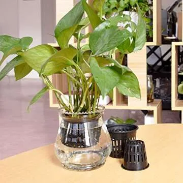 Awpeye 40 Pack Hydroponic Net Cup Pots - Grow Healthy Plants