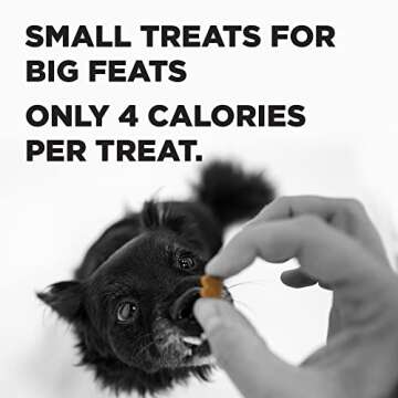 BIXBI Liberty Trainers, Peanut Butter - Small Training Treats for Dogs - Low Calorie, All Natural, Grain Free Dog Treats