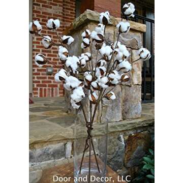 Set of 3 Rustic Cotton Stems with 15-18 Cotton Bolls per Stem and 30-31 inches Tall Farmhouse Style