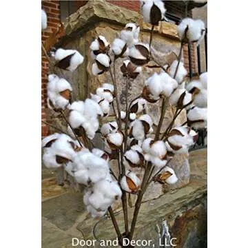 Set of 3 Rustic Cotton Stems with 15-18 Cotton Bolls per Stem and 30-31 inches Tall Farmhouse Style