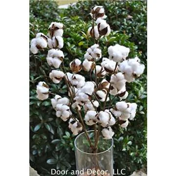 Set of 3 Rustic Cotton Stems with 15-18 Cotton Bolls per Stem and 30-31 inches Tall Farmhouse Style