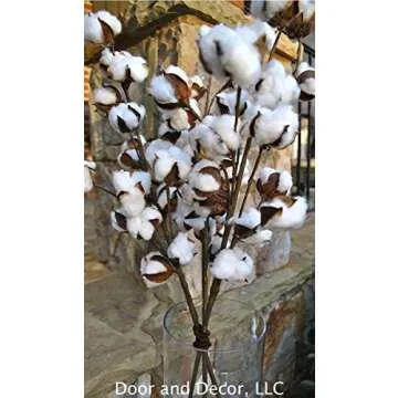 Set of 3 Rustic Cotton Stems with 15-18 Cotton Bolls per Stem and 30-31 inches Tall Farmhouse Style