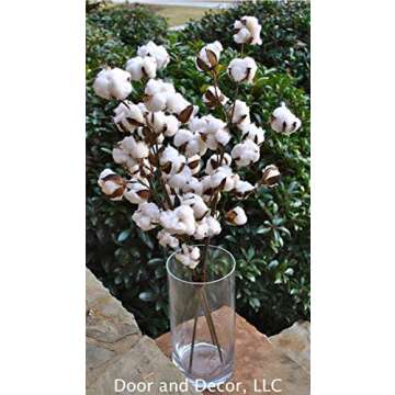 Set of 3 Rustic Cotton Stems with 15-18 Cotton Bolls per Stem and 30-31 inches Tall Farmhouse Style