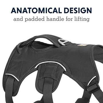 Ruffwear Web Master Harness - Ultimate Support for Dogs