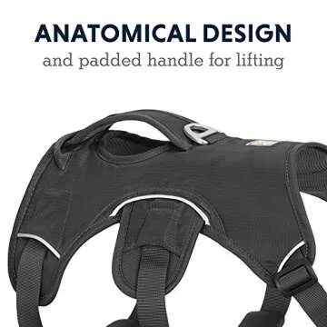 Ruffwear Web Master Harness - Ultimate Support for Dogs