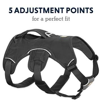 Ruffwear Web Master Harness - Ultimate Support for Dogs