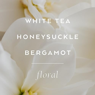 Lollia Dream Bubble Bath, 24 fl. oz. – White Tea & Honeysuckle Scent – Soothing & Moisture-Rich Bubble Bath, Hydrating Ingredients, Scented Bubble Bath for Women