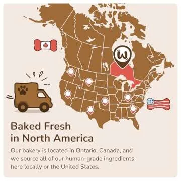 Wufers Dog Birthday Cookie Box - Dog Treat, Dog Cookies, Dog Gifts, Human Grade Ingredients, Cute Hand Decorated and Gentle for Tummies of All Breed Sizes - 9 Cookies, Birthday Girl