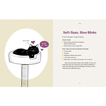 Kitty Language: An Illustrated Guide to Understanding Your Cat