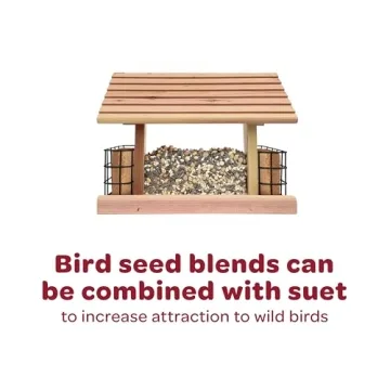 Kaytee Southern Regional Wild Bird Blend - 7-Pound Quality Seed