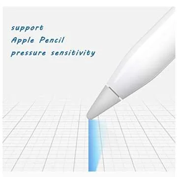 Apple Pencil Replacement Tips 2 Pack - Perfect Fit for iPads