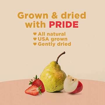 RIND Snacks | Straw-Peary | Strawberry, Apple, & Pear | Dried Fruit Superfood | Chewy Snack | No Sugar Added | All Natural | High in Fiber | Gluten Free | Vegan | Paleo | Fruit Snacks | 3 oz | 3 Pack