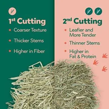 Andy 2nd Cut Timothy Hay, Premium Rabbit Food, 7 lb Box, Guinea Pig and Chinchilla Hay, Balanced Nutrition for Rabbits, Chinchillas, and Guinea Pigs