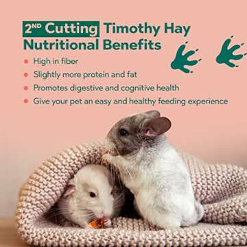 Andy 2nd Cut Timothy Hay, Premium Rabbit Food, 7 lb Box, Guinea Pig and Chinchilla Hay, Balanced Nutrition for Rabbits, Chinchillas, and Guinea Pigs