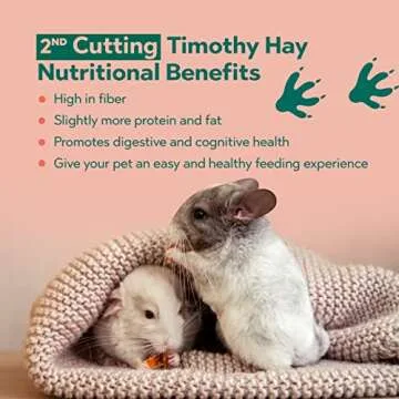 Andy 2nd Cut Timothy Hay, Premium Rabbit Food, 7 lb Box, Guinea Pig and Chinchilla Hay, Balanced Nutrition for Rabbits, Chinchillas, and Guinea Pigs
