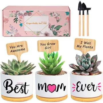 Best Mom Ever Gifts for Every Occasion