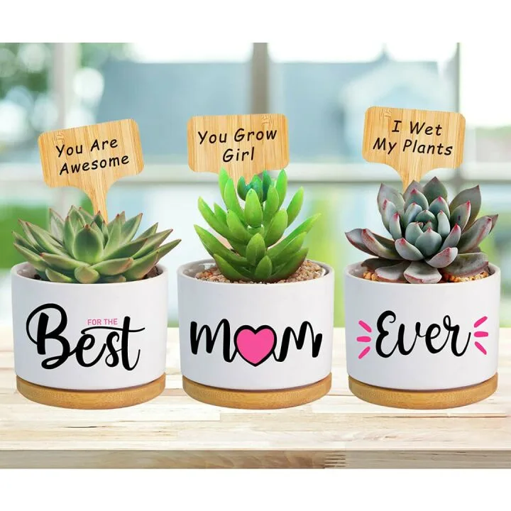 Best Mom Ever Gifts for Every Occasion