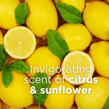 Hydrate Your Skin with Andalou Naturals Citrus Sunflower Lotion