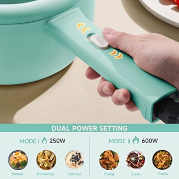 Versatile Dezin Hot Pot Electric with Steamer 2L