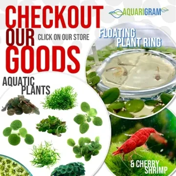 Aquarigram Floating Plant Combo Pack for Lively Aquariums