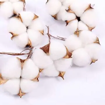 Darget Cotton Balls Decor - 20 Pieces for Wreath Decor White Dried Cotton Bolls (Balls) Made of Natural Cotton Great for Crafting, Home Decor Wedding, Farmhouse Style