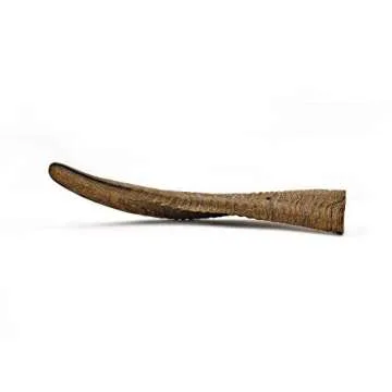 Herders Choice Chews Dried Goat Horns (Medium 2 pcs.)