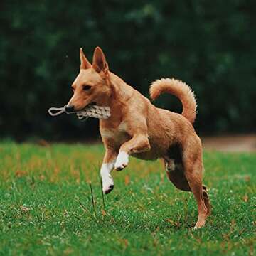 YINOR Dog Chew Toys-Puppy Tug Toys-Natural Cotton Rope-Pets Teething Interactive Knots for Small Med...