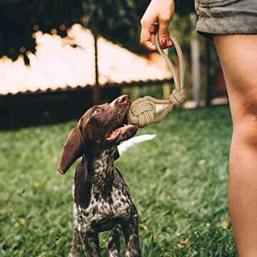 YINOR Dog Chew Toys-Puppy Tug Toys-Natural Cotton Rope-Pets Teething Interactive Knots for Small Medium Dog Mutt (Set of 4)