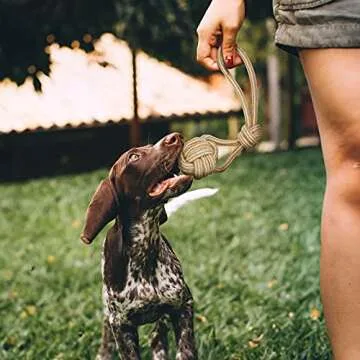 YINOR Durable Puppy Tug Toys - Natural Cotton Chew Set