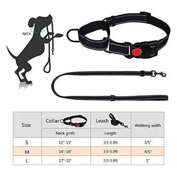 Martingale Dog Collar and Leash Set Martingale Collars for Dogs Reflective Martingale Collar for Small Medium Large Dogs(Black&M)