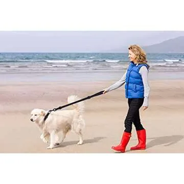 Martingale Dog Collar and Leash Set Martingale Collars for Dogs Reflective Martingale Collar for Small Medium Large Dogs(Black&M)