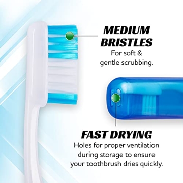 Lingito Travel Toothbrush - Portable 3 Pack for All Ages