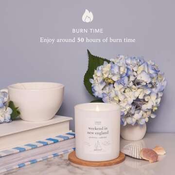 Literie NYC Inspired Scented Candle: Weekend in New England - Sea Breeze & Saltwater Scent, 9oz, 50 ...