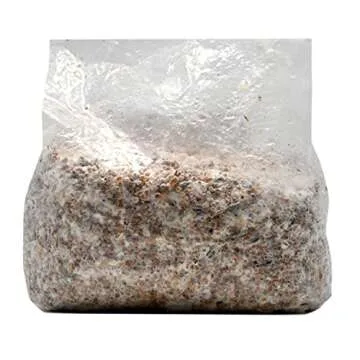 Root Mushroom Farm Wine Cap Grain Spawn for Outdoor Cultivation