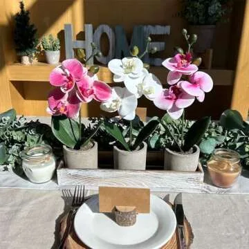 Winlyn Set of 3 Small Artificial Orchid Potted Plants Arrangement with Rustic Wood Planter Box Real Touch Faux Phalaenopsis Moth Orchid Flowers in Pots for Home Office Desk Shelf Table Centerpiece