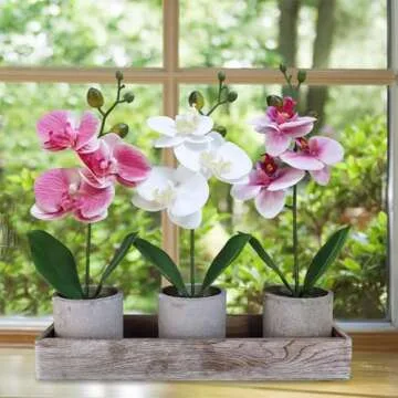 Winlyn Set of 3 Small Artificial Orchid Potted Plants Arrangement with Rustic Wood Planter Box Real Touch Faux Phalaenopsis Moth Orchid Flowers in Pots for Home Office Desk Shelf Table Centerpiece