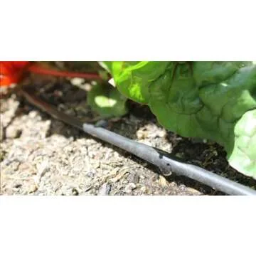 DripWorks 1/4" Soaker Dripline - Efficient Irrigation Solution